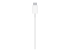 Apple MagSafe Charger - Närbild